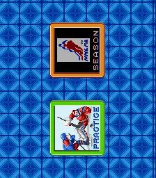 Pro Sport Hockey