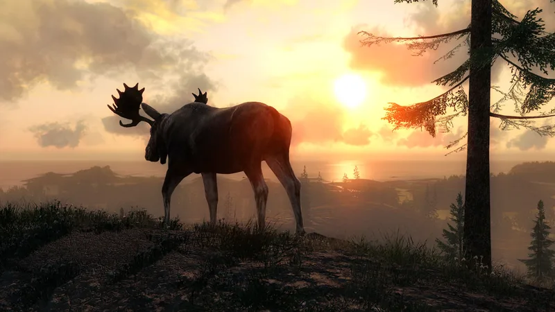 theHunter