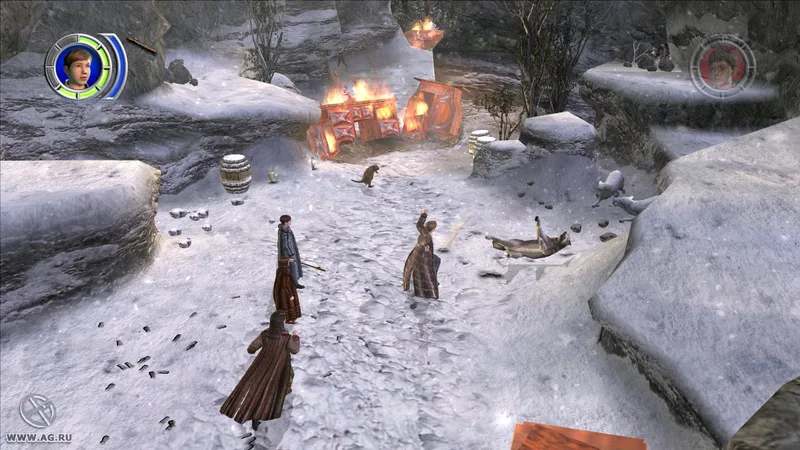 The Chronicles of Narnia: The Lion, the Witch and the Wardrobe