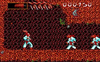 Ninja Rabbits