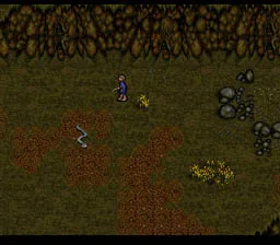J.R.R. Tolkien's The Lord of the Rings, Vol. I (SNES)
