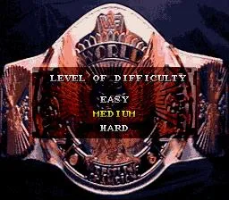 WWF Super WrestleMania (SNES)